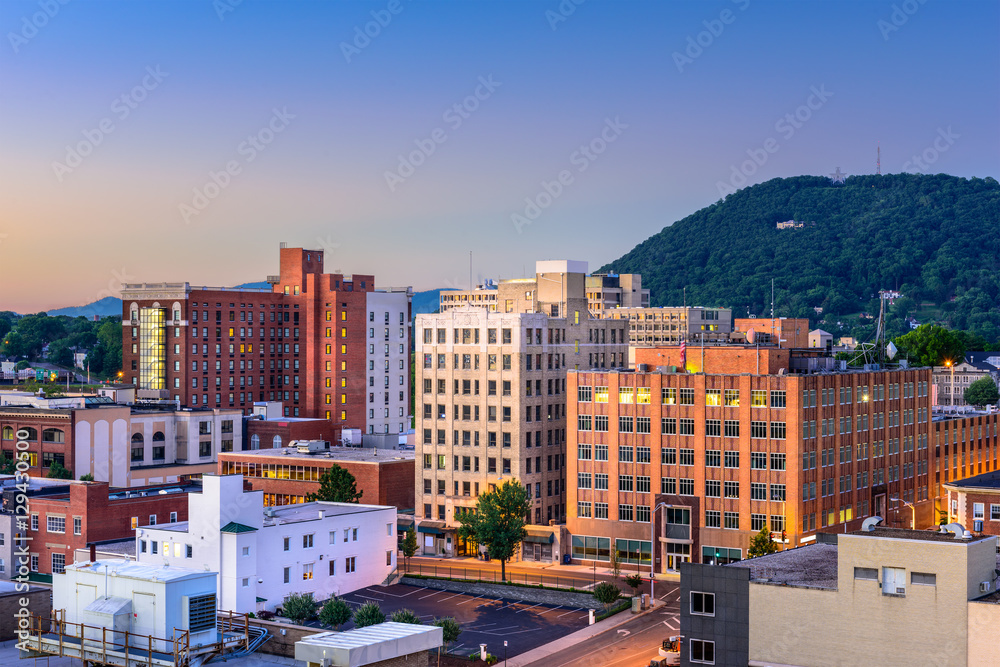 Roanoke Virginia Cityscape