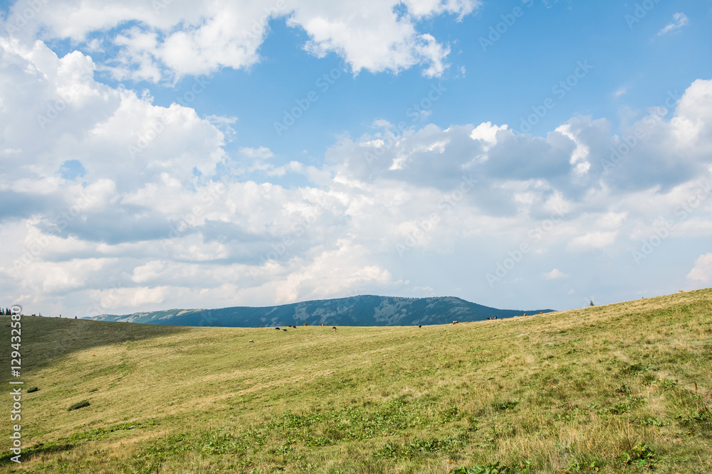Carpathian summer landscape, meadow and clouds in the blue sky
