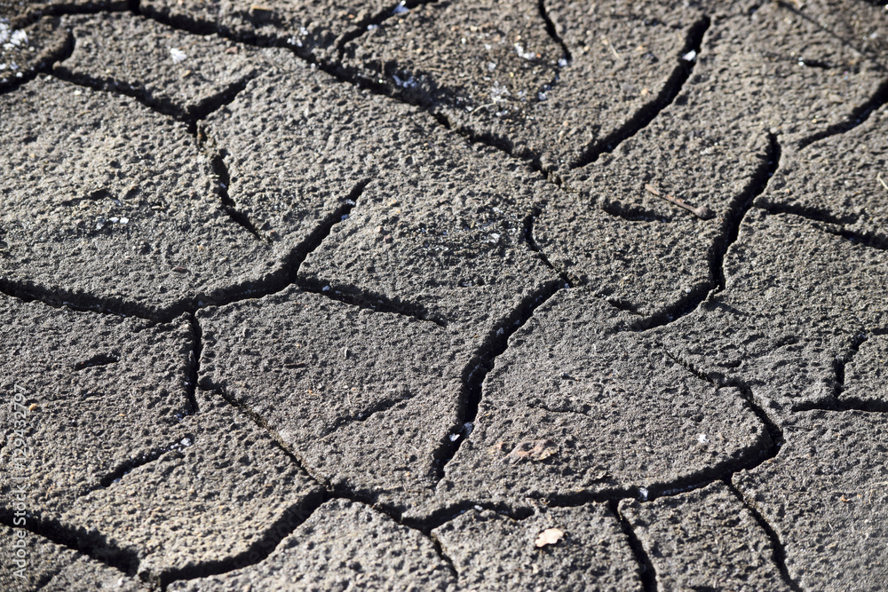 Fototapeta premium Cracked dry soil background