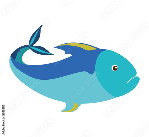 colorful silhouette with sea fish blue vector illustration