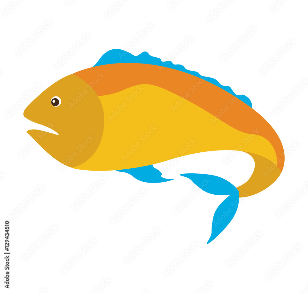 colorful silhouette with sea fish yellow and fins blue vector illustration colorful silhouette with sea fish yellow and fins blue vector illustration