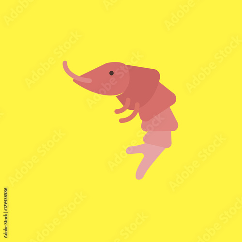shrimp icon. flat design