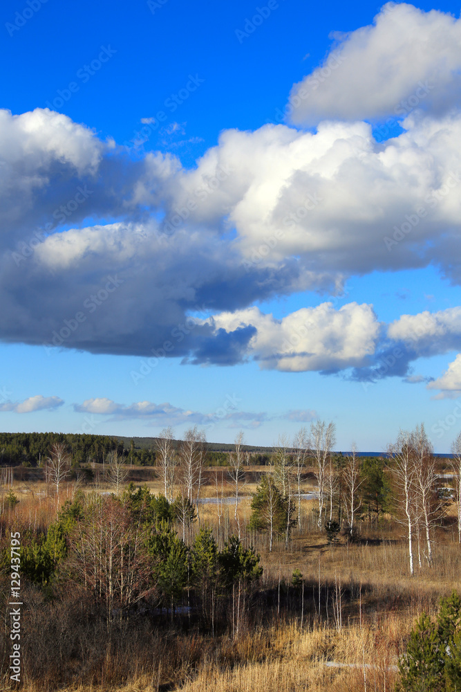 clouds over the forest in the spring