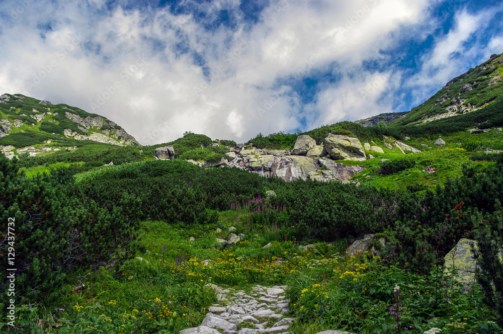 Summer landscape in Mengusovska Valley. Tatra mountains. Slovaki