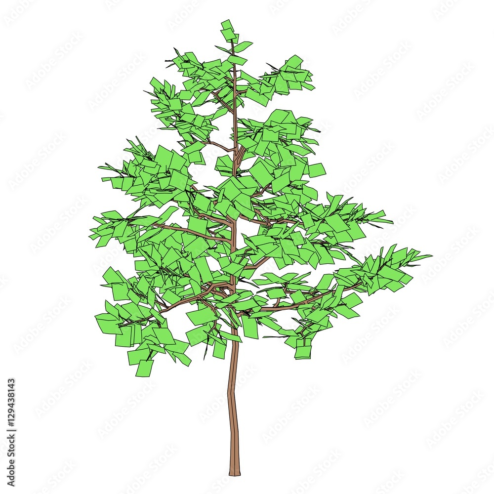 2d cartoon illustration of young oak 2d cartoon illustration of young oak