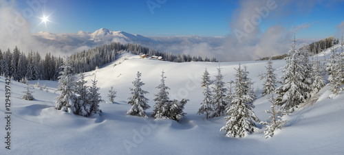 Panoramic view of the mountain landscape in winter