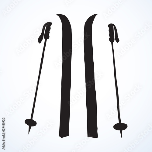 Skiing. Vector drawing