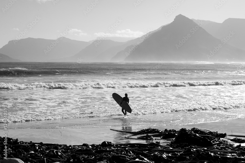 Obraz premium Longboarder heads out for a surf