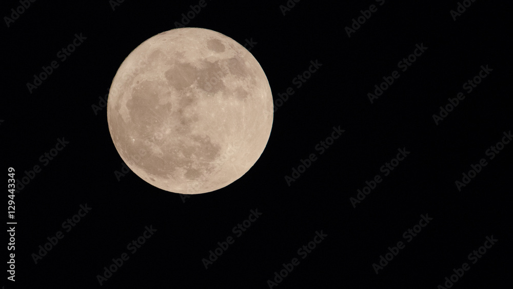 Obraz premium Supermoon November 2016