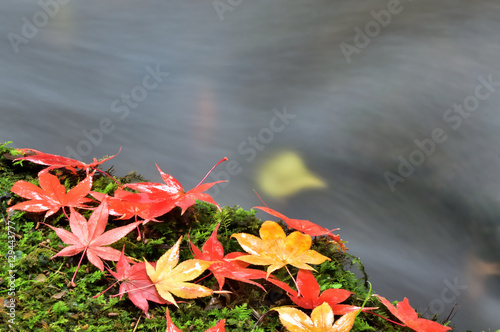 秋の渓流風景