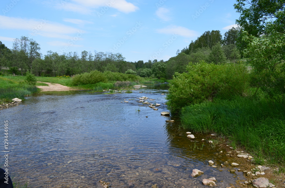 Fototapeta premium деревня Холохольня. Старицкий район. Тверская область
