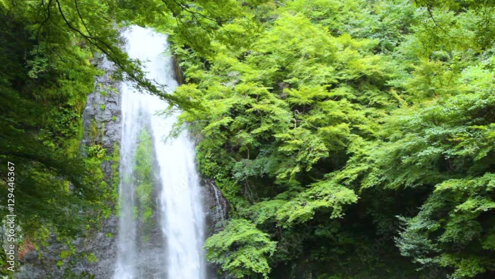 緑と流れ落ちる滝 緑と流れ落ちる滝