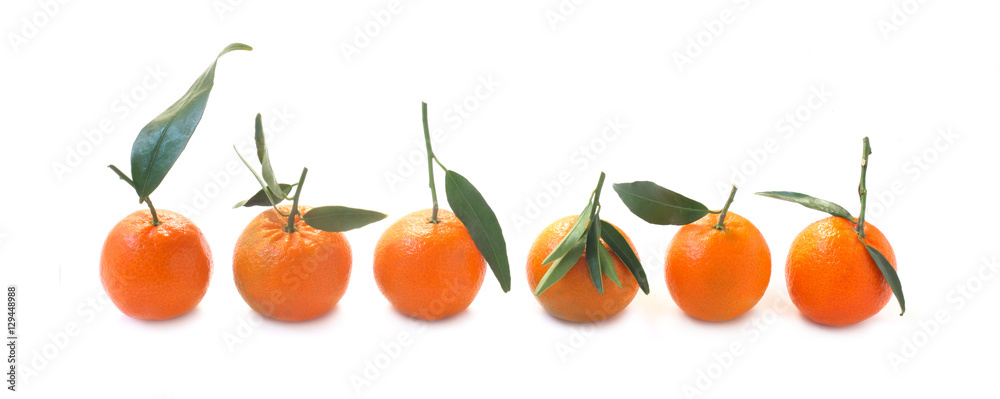 Tangerines Tangerines