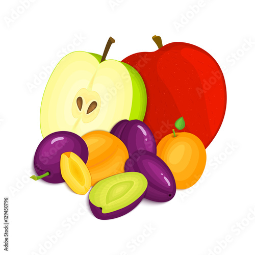 Composition of juicy plums apricots and apples. Ripe vector fruits whole and slice appetizing looking. Group of tasty fruits for design the packaging of juice, breakfast, healthy eating, vegetarianism