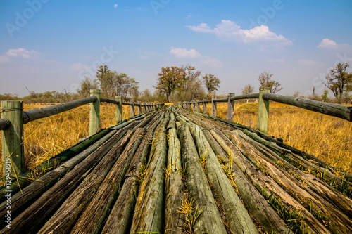 Wood Bridge 