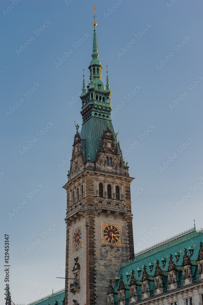 Rathausmarkt in Hamburg Rathausmarkt in Hamburg