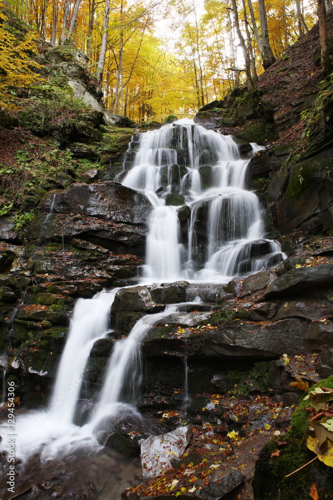 Beautiful view of the waterfall in the beech forest in the golden autumn season. Beautiful view of the waterfall in the beech forest in the golden autumn season.
