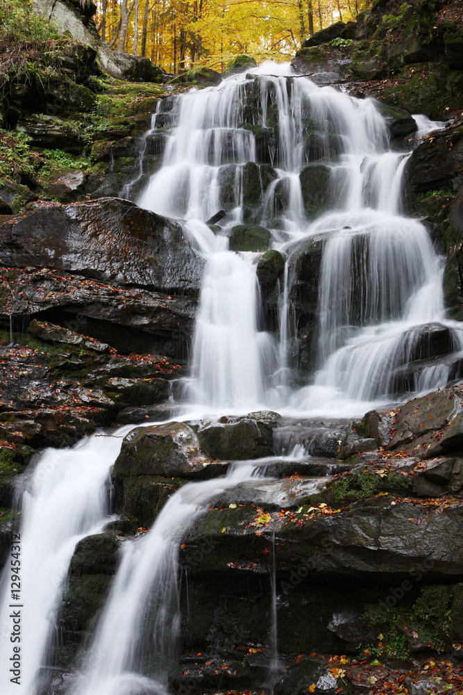 Beautiful view of the waterfall in the beech forest in the golden autumn season. Beautiful view of the waterfall in the beech forest in the golden autumn season.