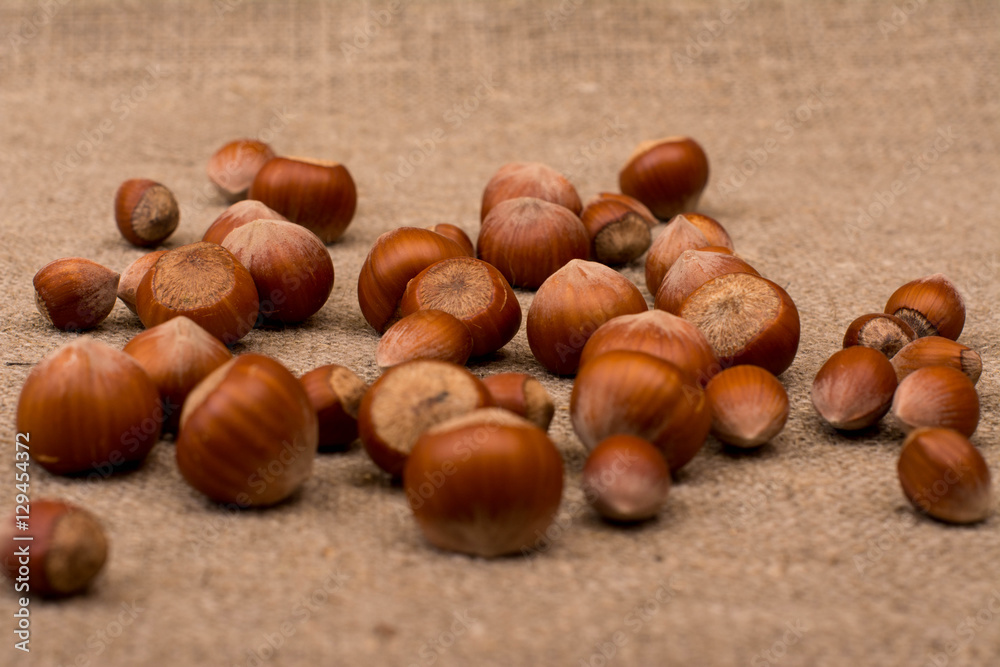 Hazelnuts on sackcloth fabric Hazelnuts on sackcloth fabric