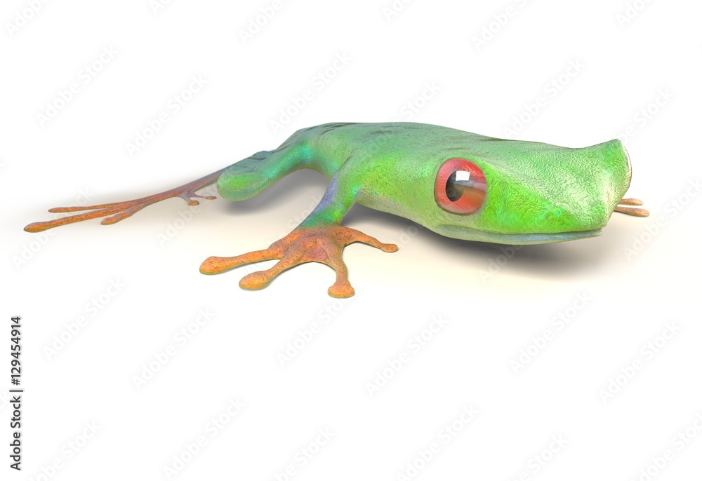 Fototapeta premium red eyed tree frog from tropical rainforest of Costa Rica isolated on white. Agalychnis callidrias. 3d illustration