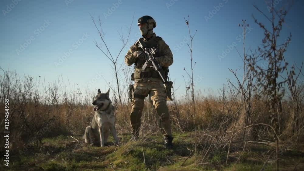 Airsoft soldier with a rifle and NATO ammunition stands with a dog in the field Airsoft soldier with a rifle and NATO ammunition stands with a dog in the field