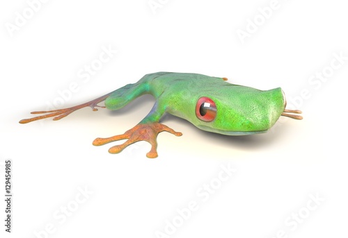 red eyed tree frog from tropical rainforest of Costa Rica isolated on white. Agalychnis callidrias. 3d illustration