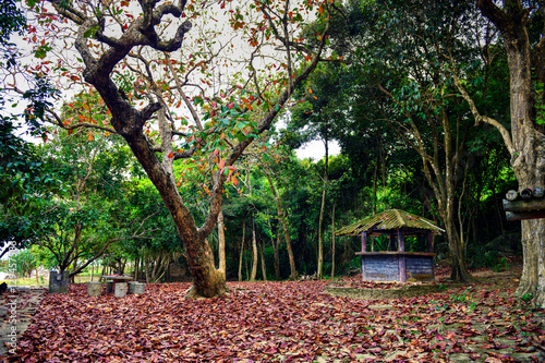 Narathat National Park in Narathiwat photo