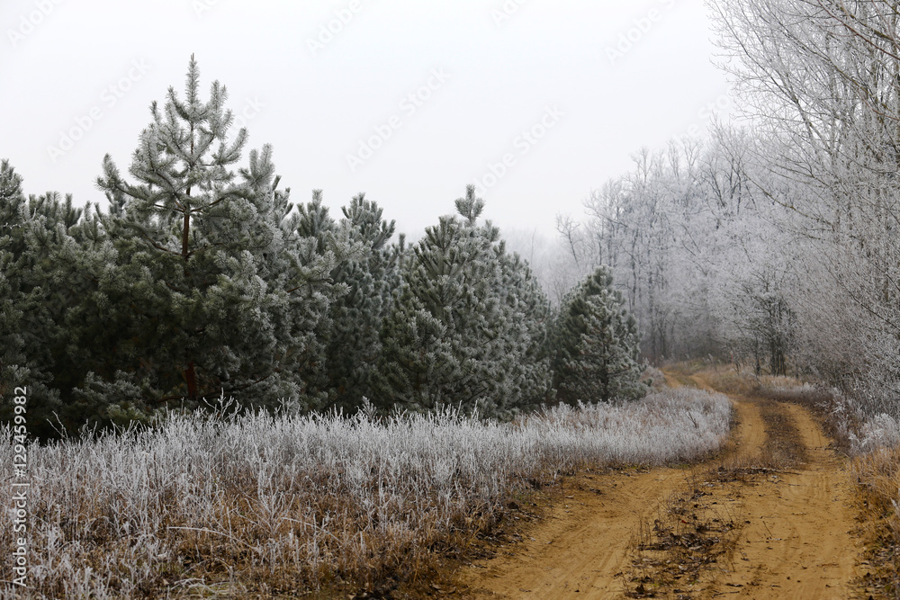 Winter frozen, frosty rural landscape. Winter frozen, frosty rural landscape.