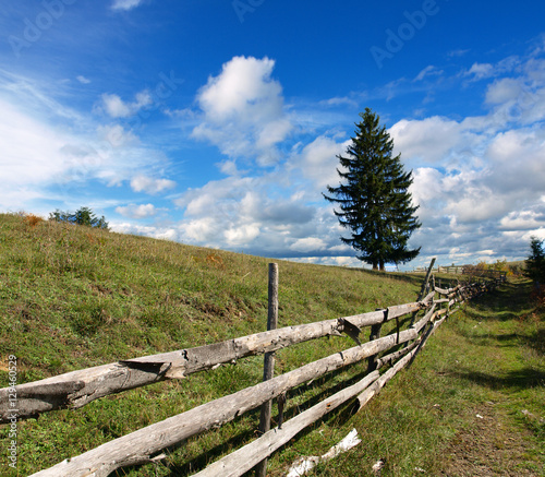 Fototapeta Naklejka Na Ścianę i Meble -  The old wooden fence