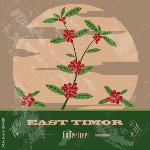 East Timor  infographics, statistical data, sights