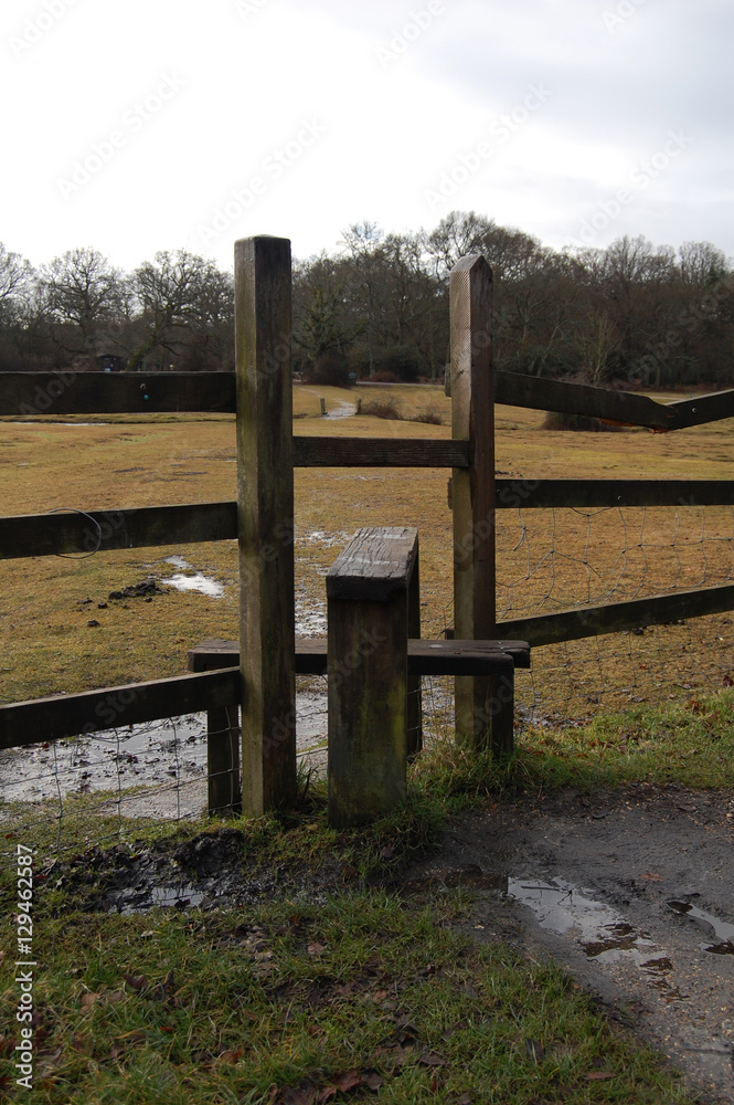 Fence stile in New Forest National Park, Ashurst, UK