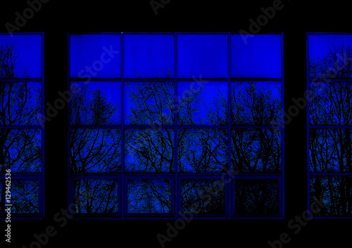 trees reflected in the windows of a large sports complex at night.