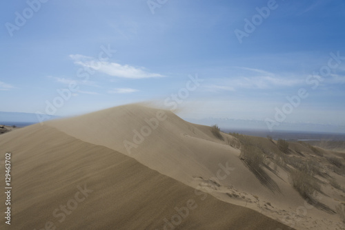 Sand dune  desert