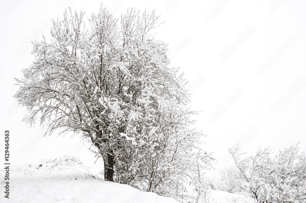 Obraz premium Nieve