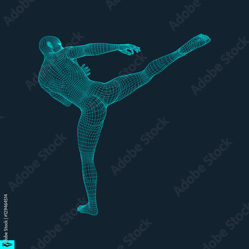 Fighter. Sports concept. 3D Model of Man. Human Body. Sport Symbol