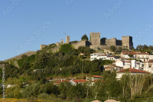 Village and castle of Montemor o velho, Beiras region, Portugal photo