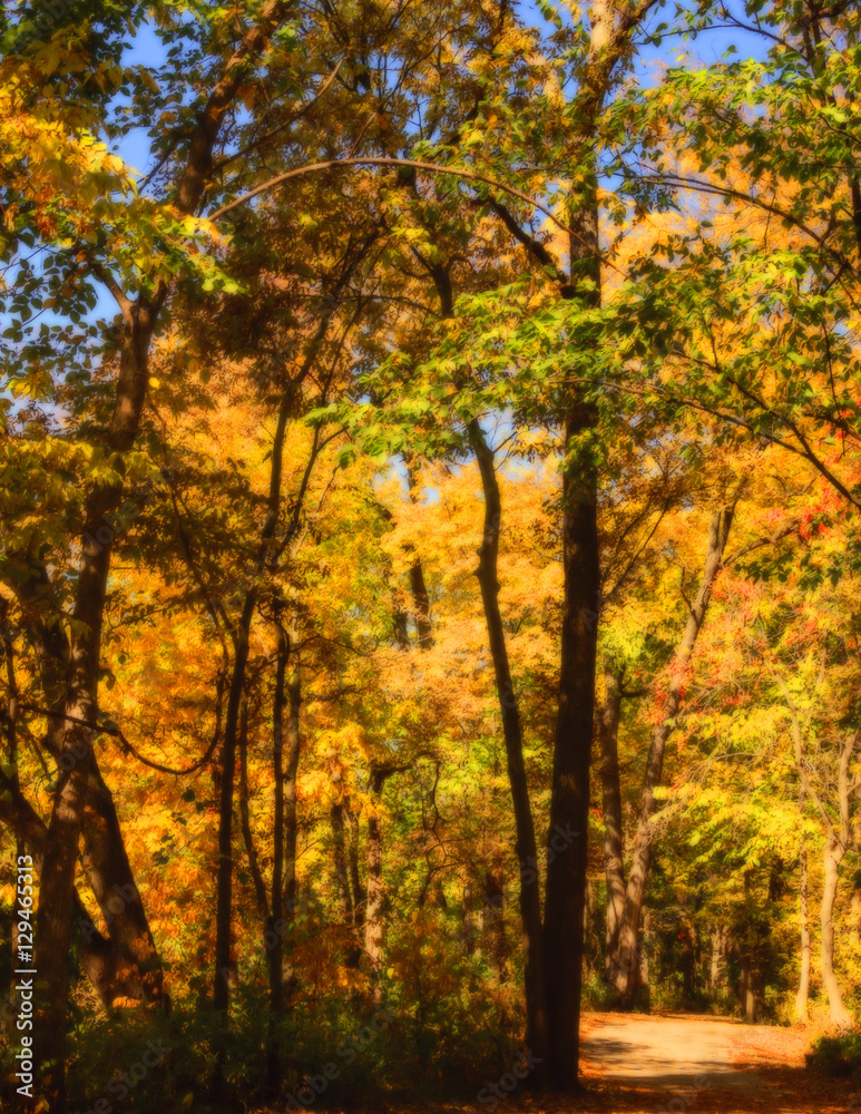 Orange-framed trail