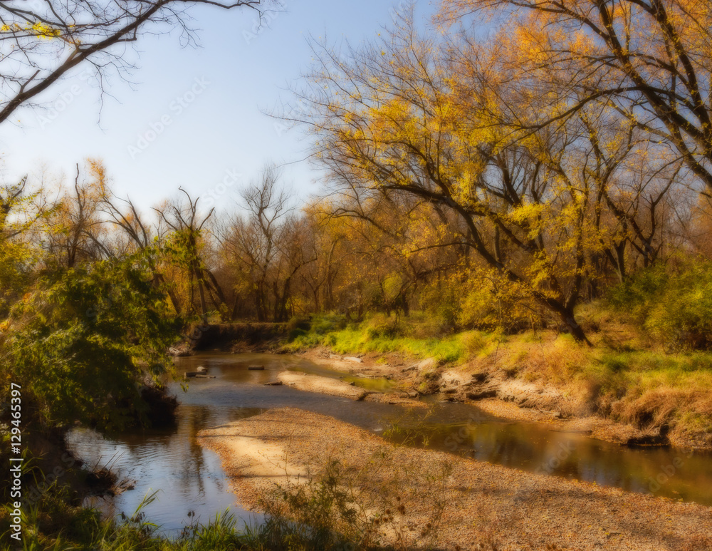 Ortonised creek in the autumn Ortonised creek in the autumn