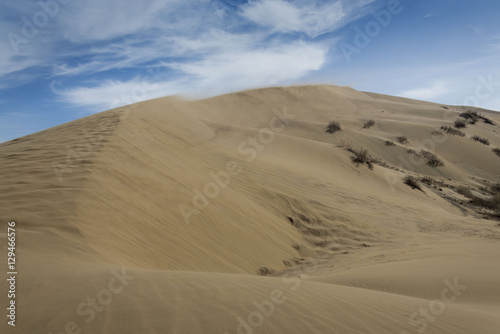 Sand dune, desert