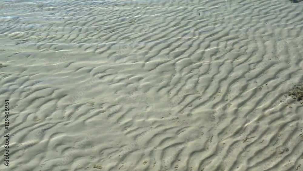 Summer Lake Sandy Bottom and Sun Reflection Sparks On Limpid Wavy Water Surface. 