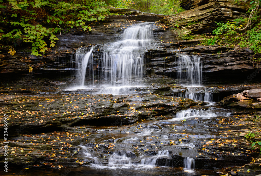 Obraz premium Ricketts Glen State Park
