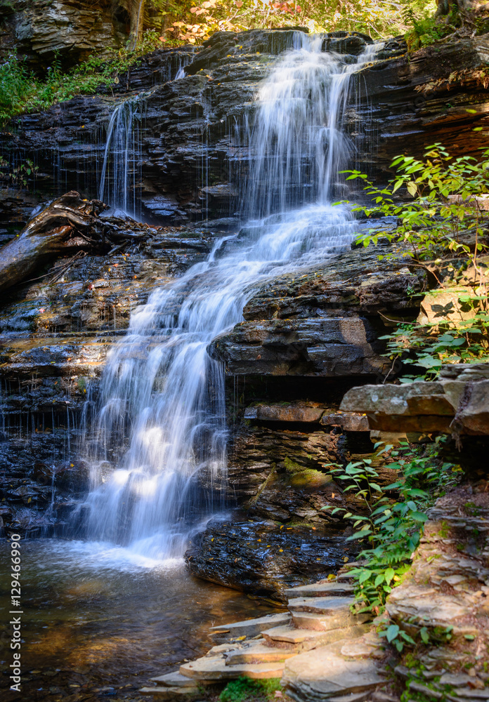 Obraz premium Ricketts Glen State Park