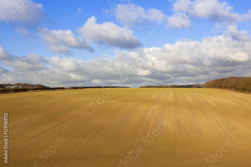 cultivated field and woodland