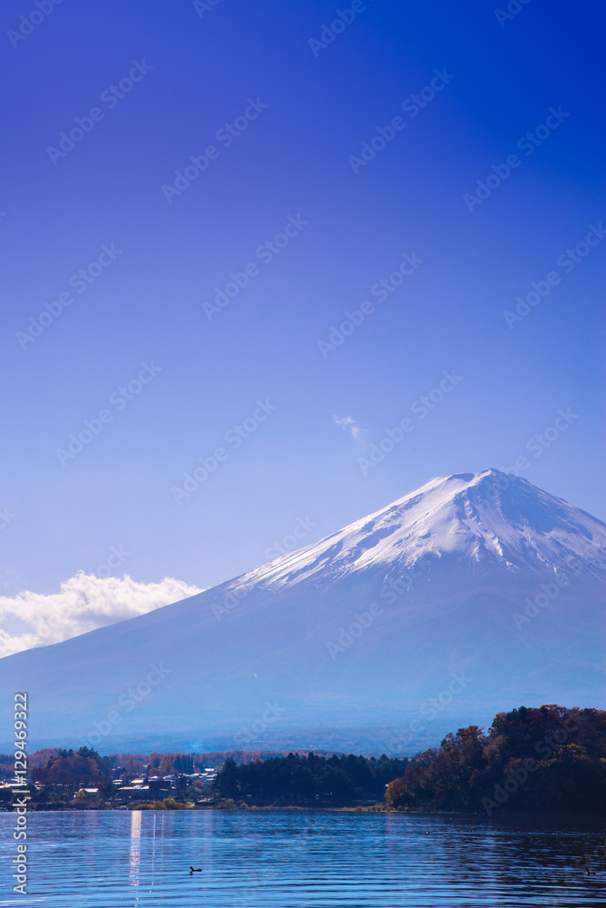 Fototapeta premium fuji mountain view from the lake kawaguchiko on blue sky backgro
