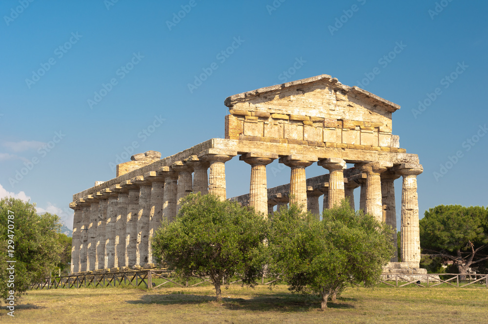 Tempel des Poseidon in in der Tempelanlage von Paestum mit olivenbaum