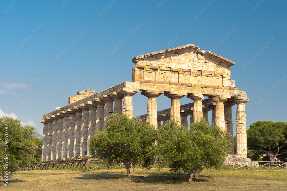 Tempel des Poseidon in in der Tempelanlage von Paestum mit olivenbaum Tempel des Poseidon in in der Tempelanlage von Paestum mit olivenbaum