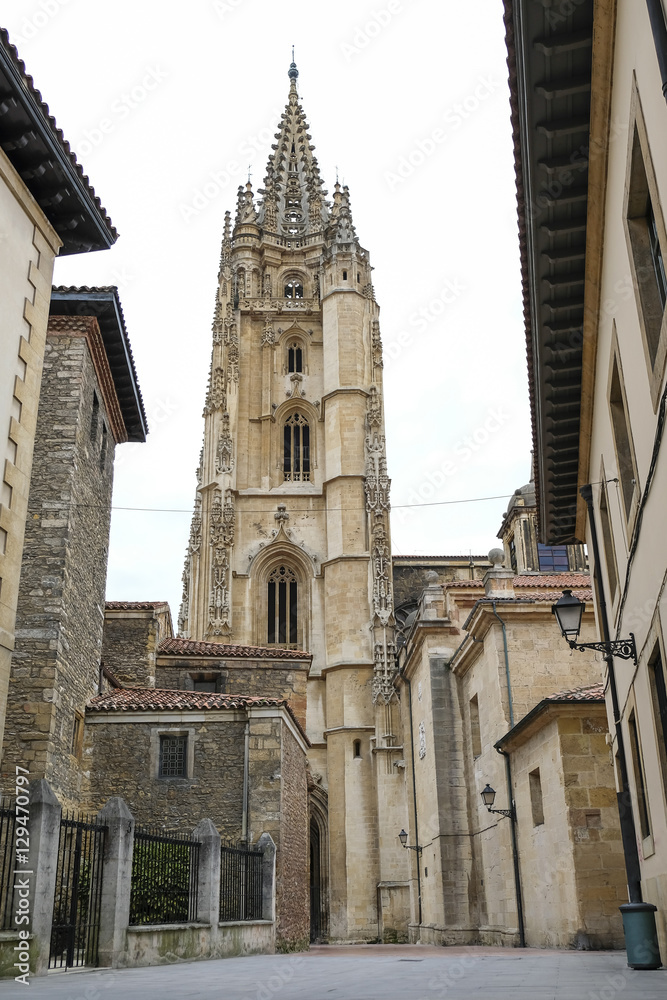 Oviedo Cathedral.