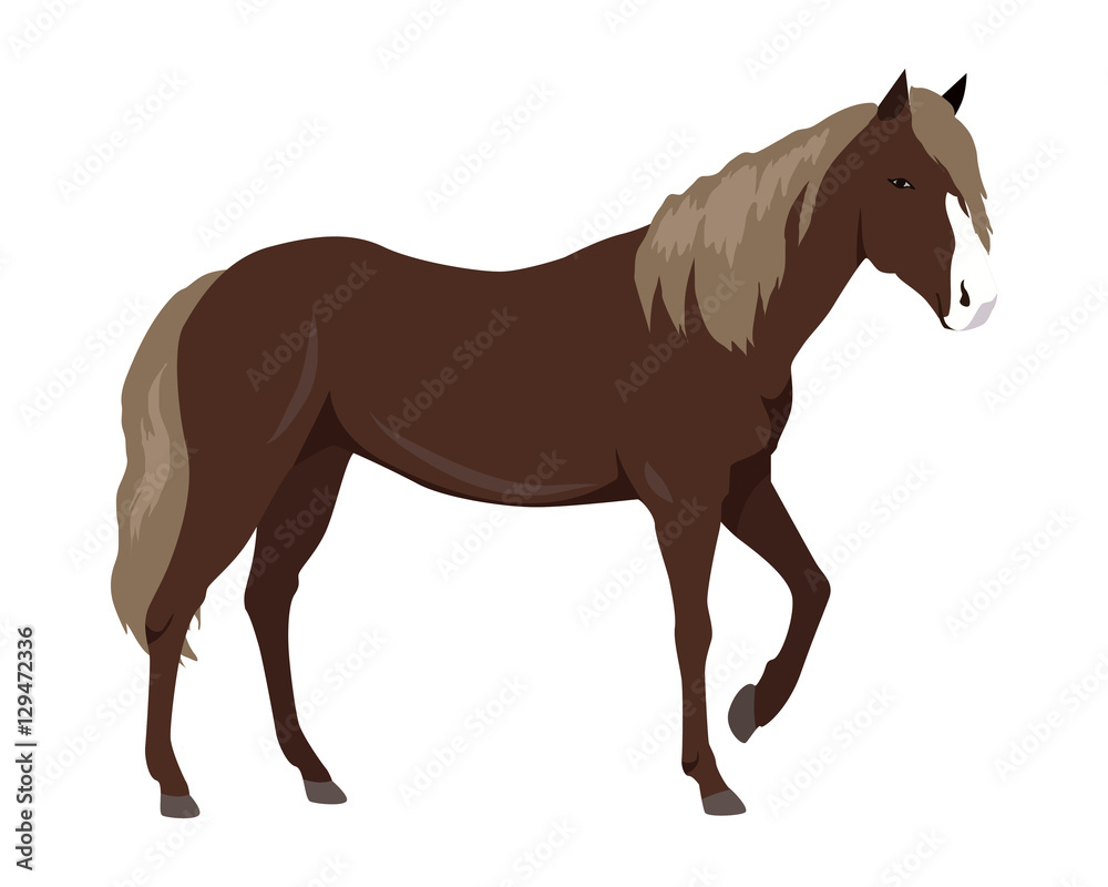 Fototapeta premium Sorrel Horse Vector Illustration in Flat Design