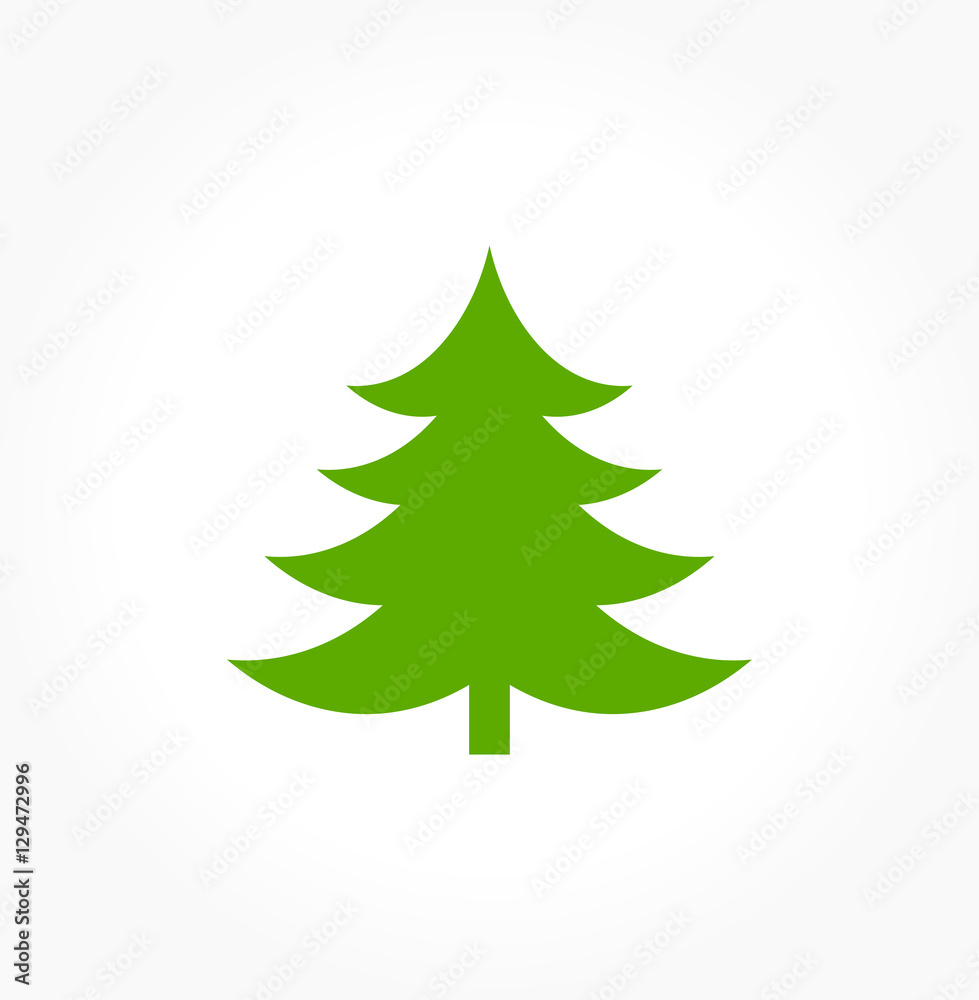 Fototapeta premium Green Christmas tree
