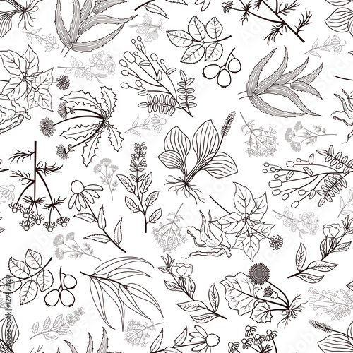 Vector herbs and spices seamless pattern